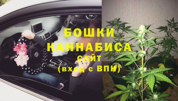 ешки Осинники