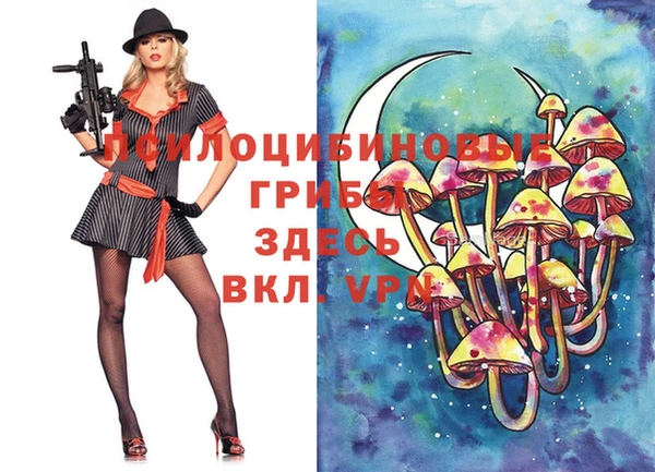 мескалин Аркадак