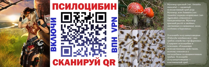 Галлюциногенные грибы MAGIC MUSHROOMS Северобайкальск