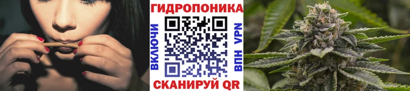 купить наркотики сайты Северобайкальск Канабис ГИДРОПОН